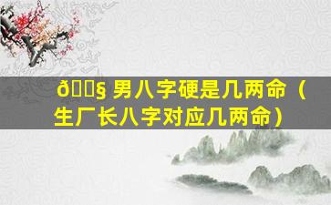 🐧 男八字硬是几两命（生厂长八字对应几两命）